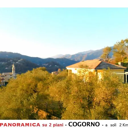 Tra Gli Ulivi - Bellissima Vista Panoramica * San Salvatore (Genoa)